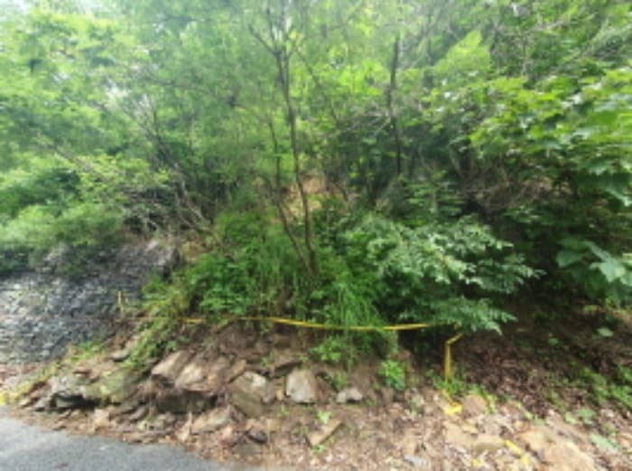 경기도 가평군 청평면 대성리 321-160
