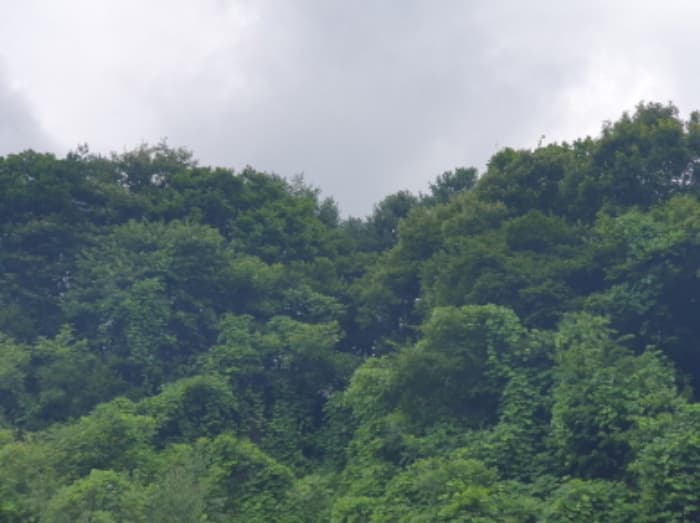 경기도 가평군 청평면 상천리 산145-2