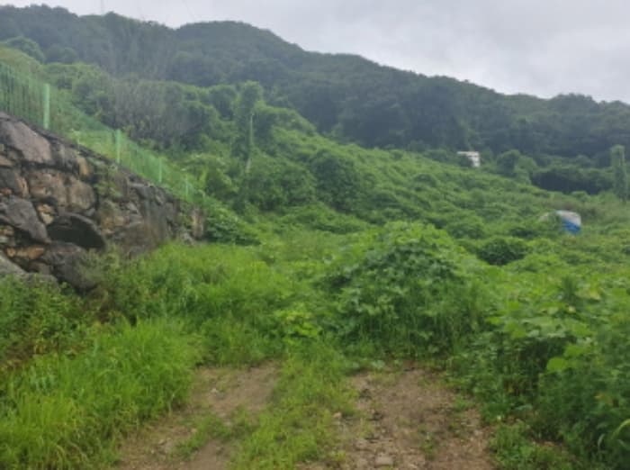 경기도 가평군 청평면 고성리 643-6 외 4 필지