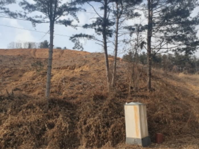 경기도 가평군 설악면 사룡리 산62-1 외 2 필지