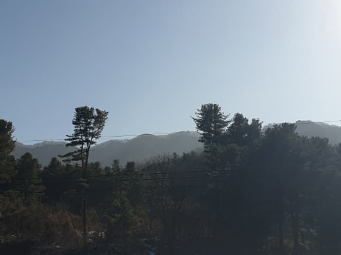 경기도 남양주시 오남읍 팔현리 산61