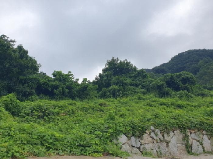 경기도 가평군 청평면 상천리 산82-1
