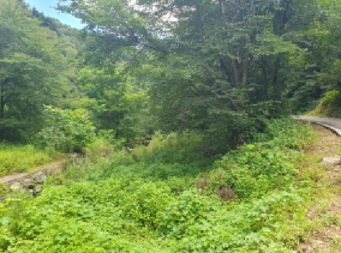 경기도 가평군 가평읍 산유리 573