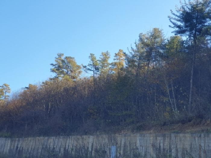 경기도 가평군 조종면 대보리 산248-8