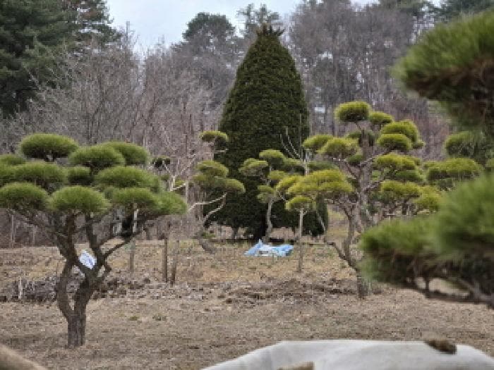 경기도 남양주시 진접읍 부평리 211