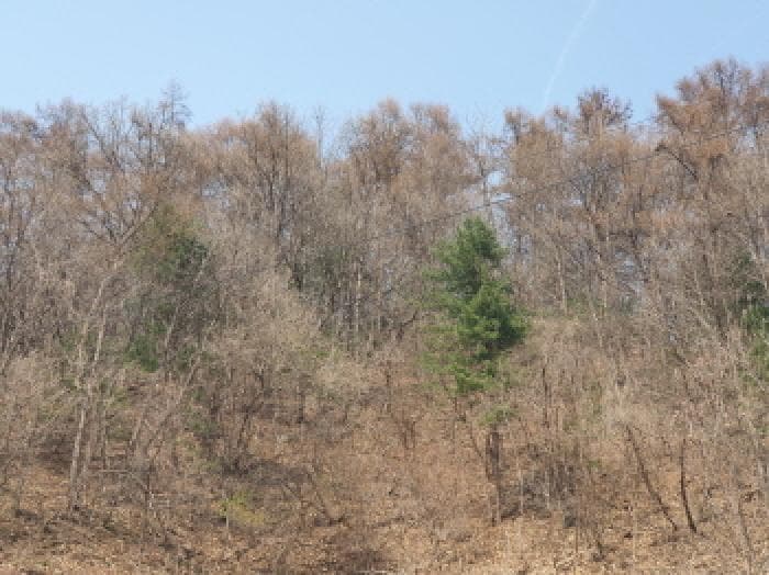 경기도 가평군 가평읍 산유리 산252-3