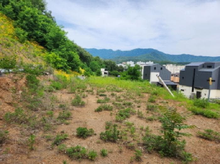 경기도 남양주시 진접읍 금곡리 655-83 제1호 외 4 필지