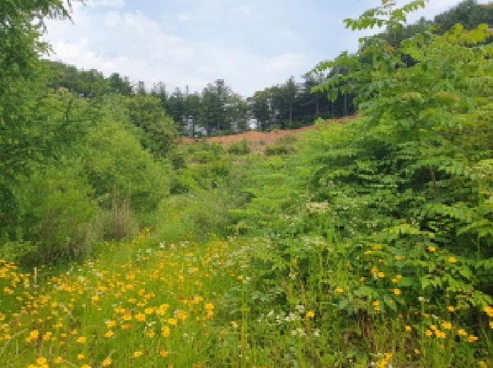 경기도 가평군 설악면 사룡리 668-8