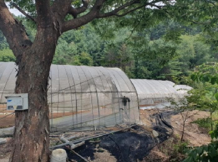 경기도 가평군 조종면 신하리 464 외 4 필지