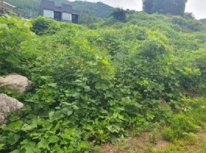 경기도 가평군 북면 백둔리 443-13 외 4 필지