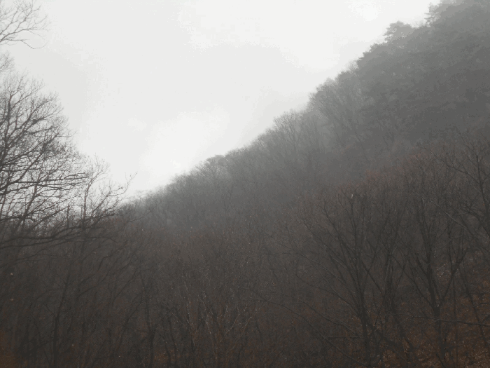 경기도 가평군 청평면 호명리 산114-2