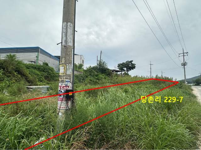 2005601929001