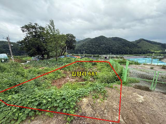 2007020806175