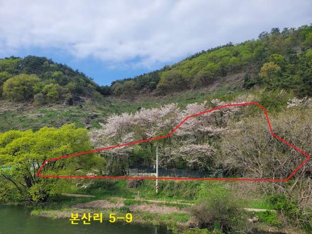 2007052525781