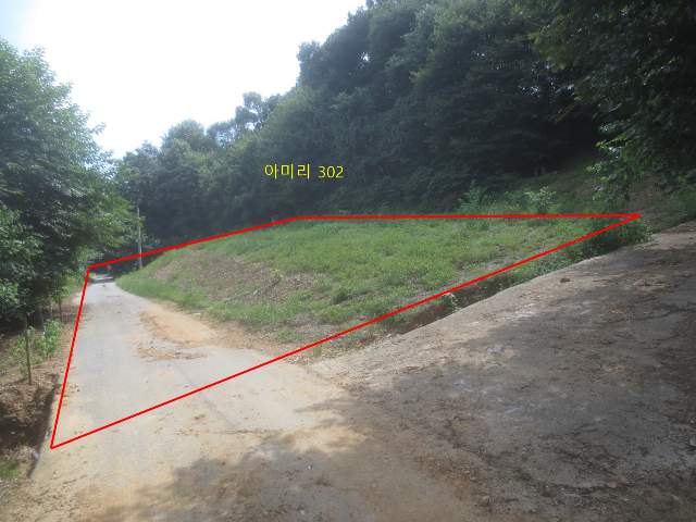 2009010684496