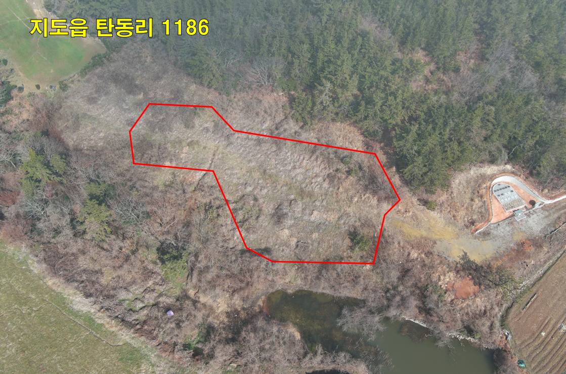 2009040202192