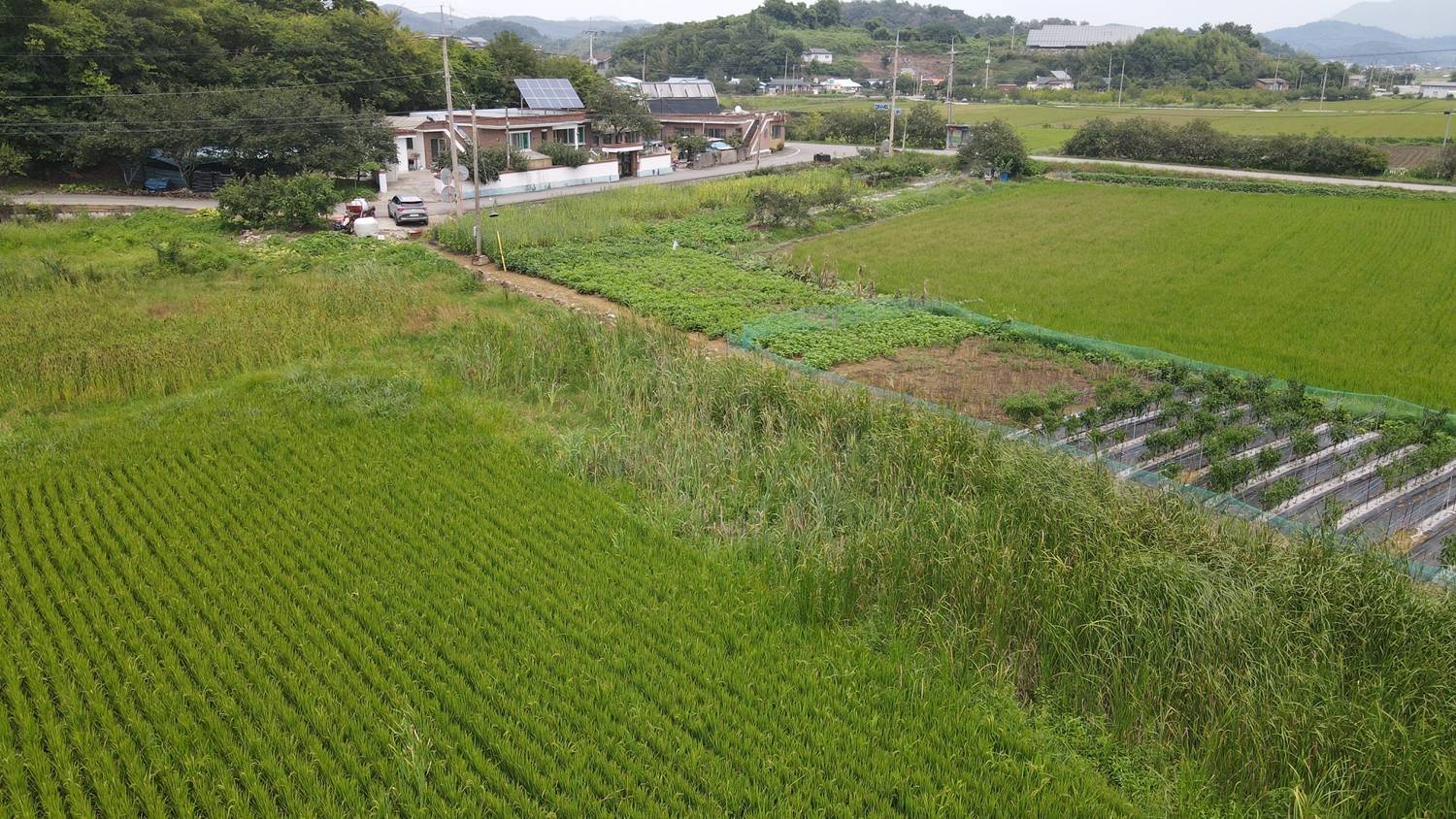 2010031846879 3