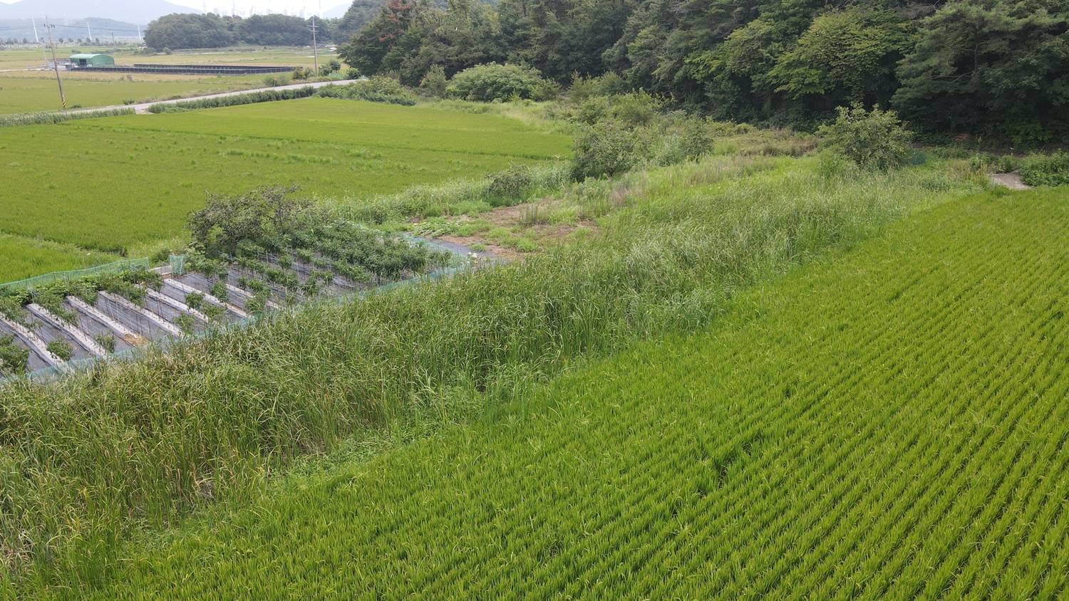 2010031846879 5
