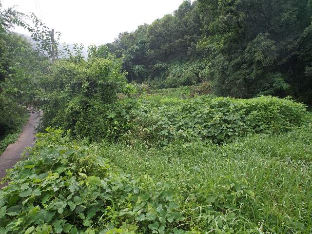 2010060263074