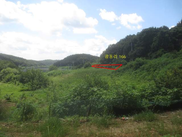 2010062871369