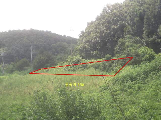 2010062871369