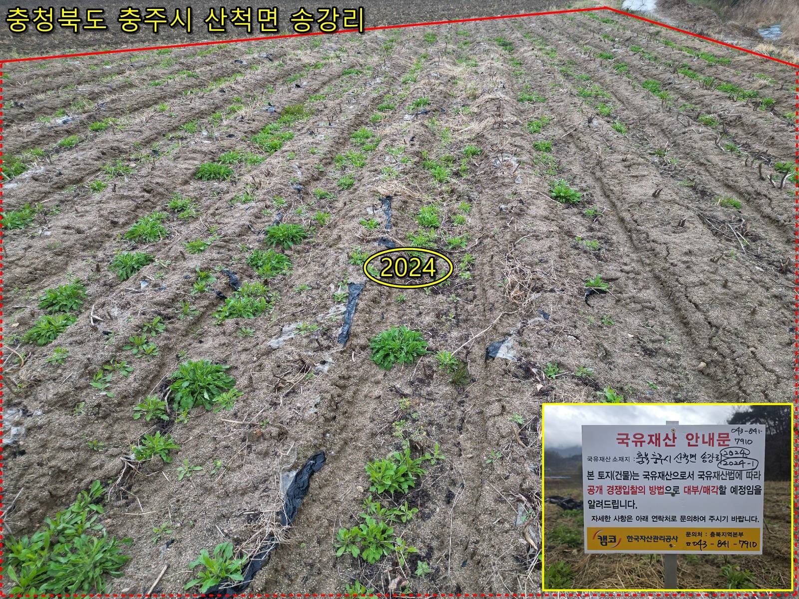 2010080983114