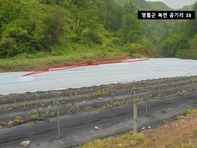 2010081784797