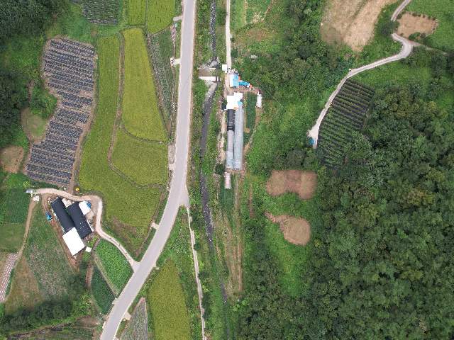2010120302452