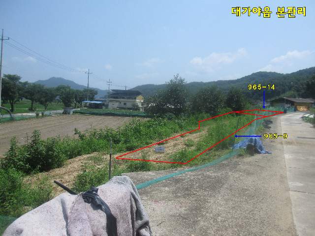 2010120302499