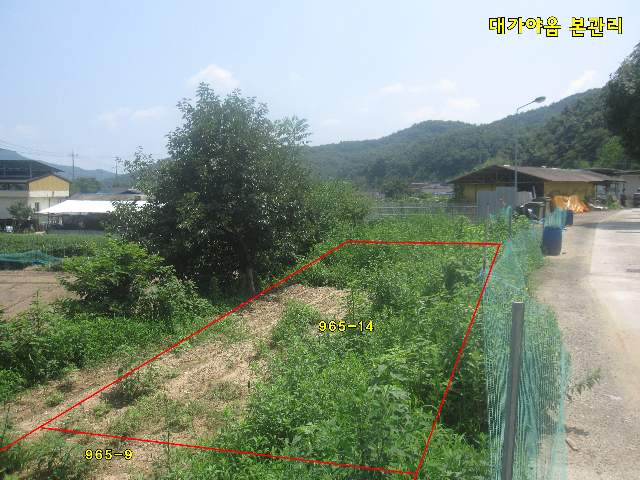 2010120302499