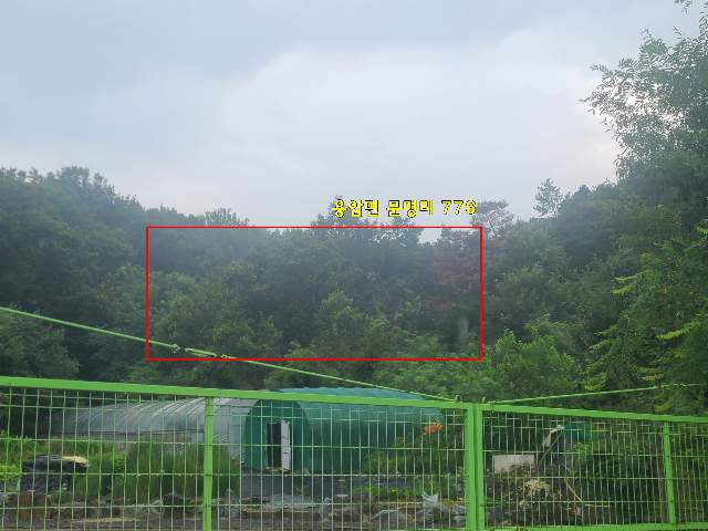 2010120703538