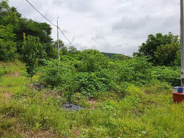 2010122007982