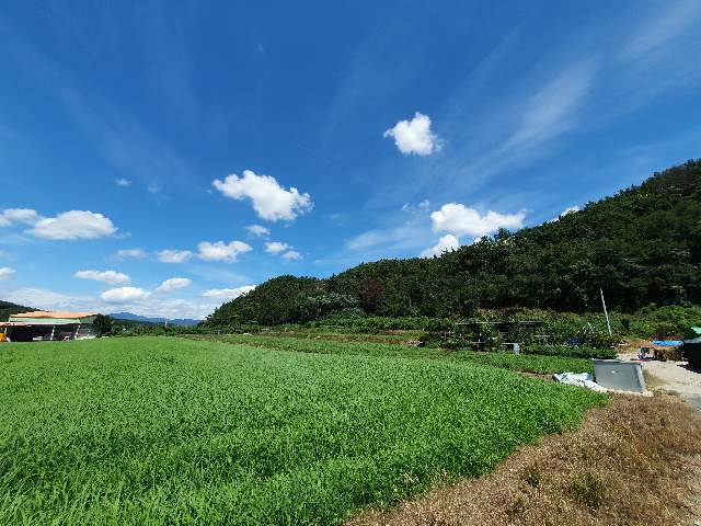 2012043049280