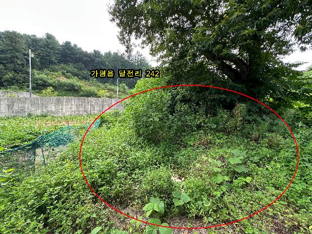 2012052567347