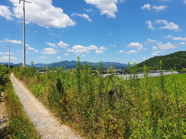 2012073112979