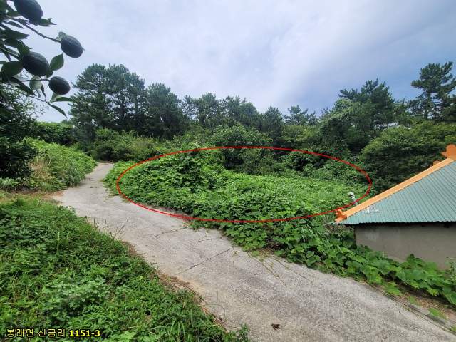 2012100455906