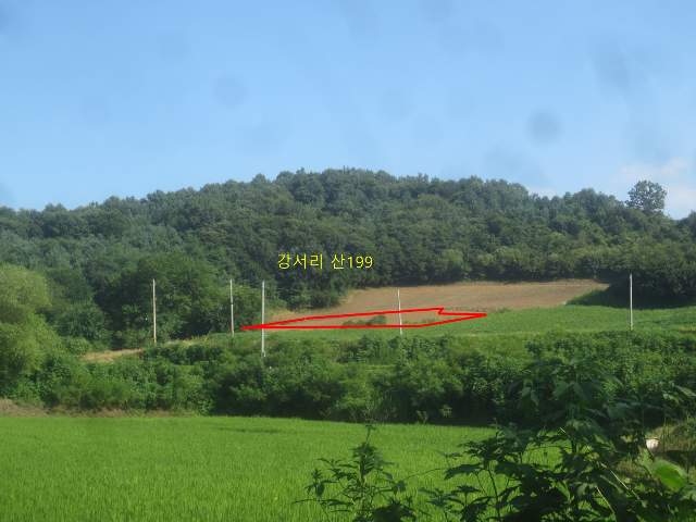 2012113085111