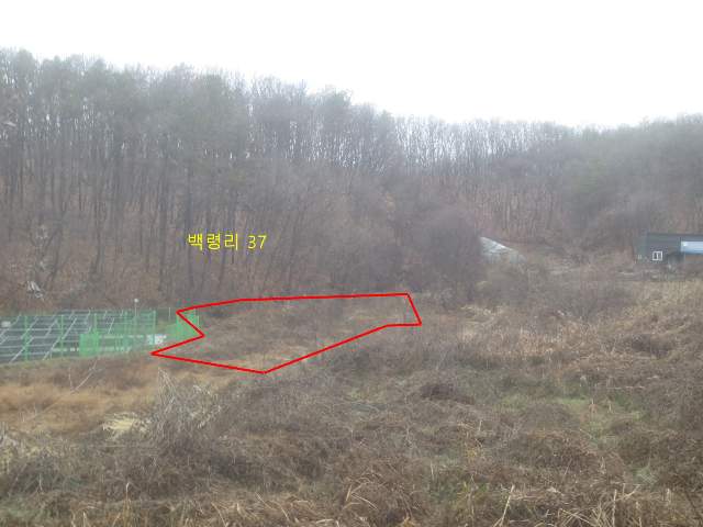 2012121095282