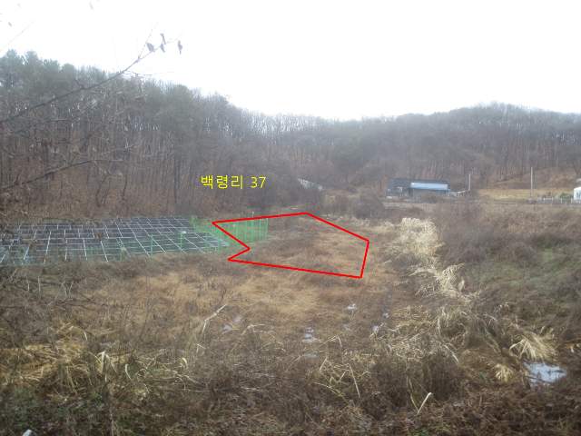2012121095282