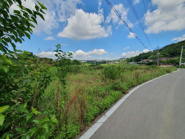 2013012311736