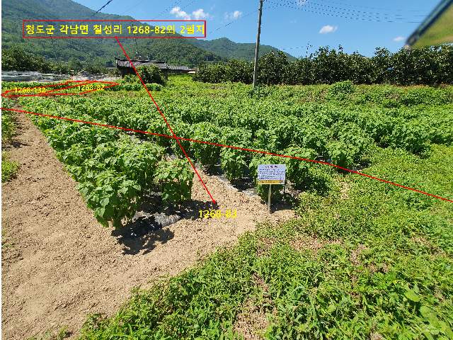 2013032056665