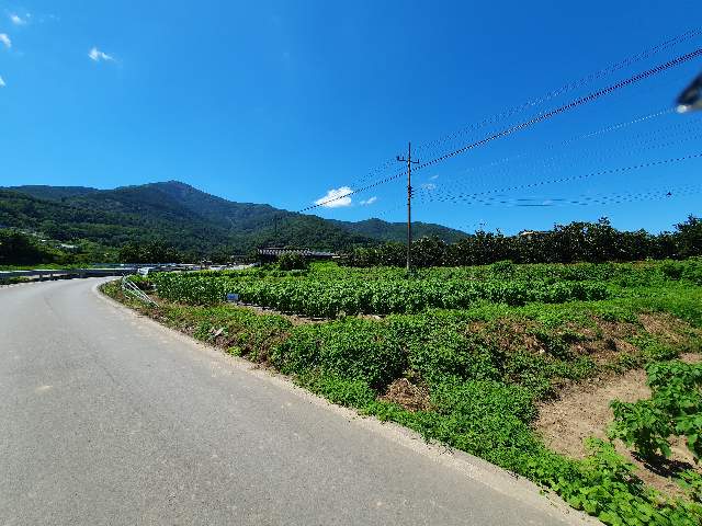 2013032056665