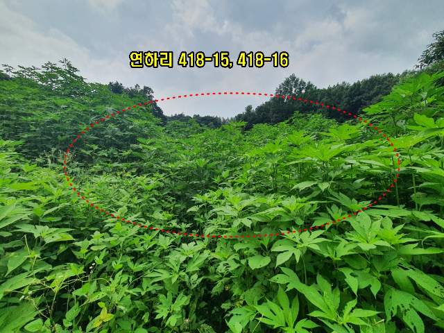 2013050992424