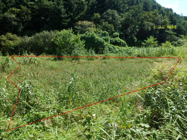 2013052204418