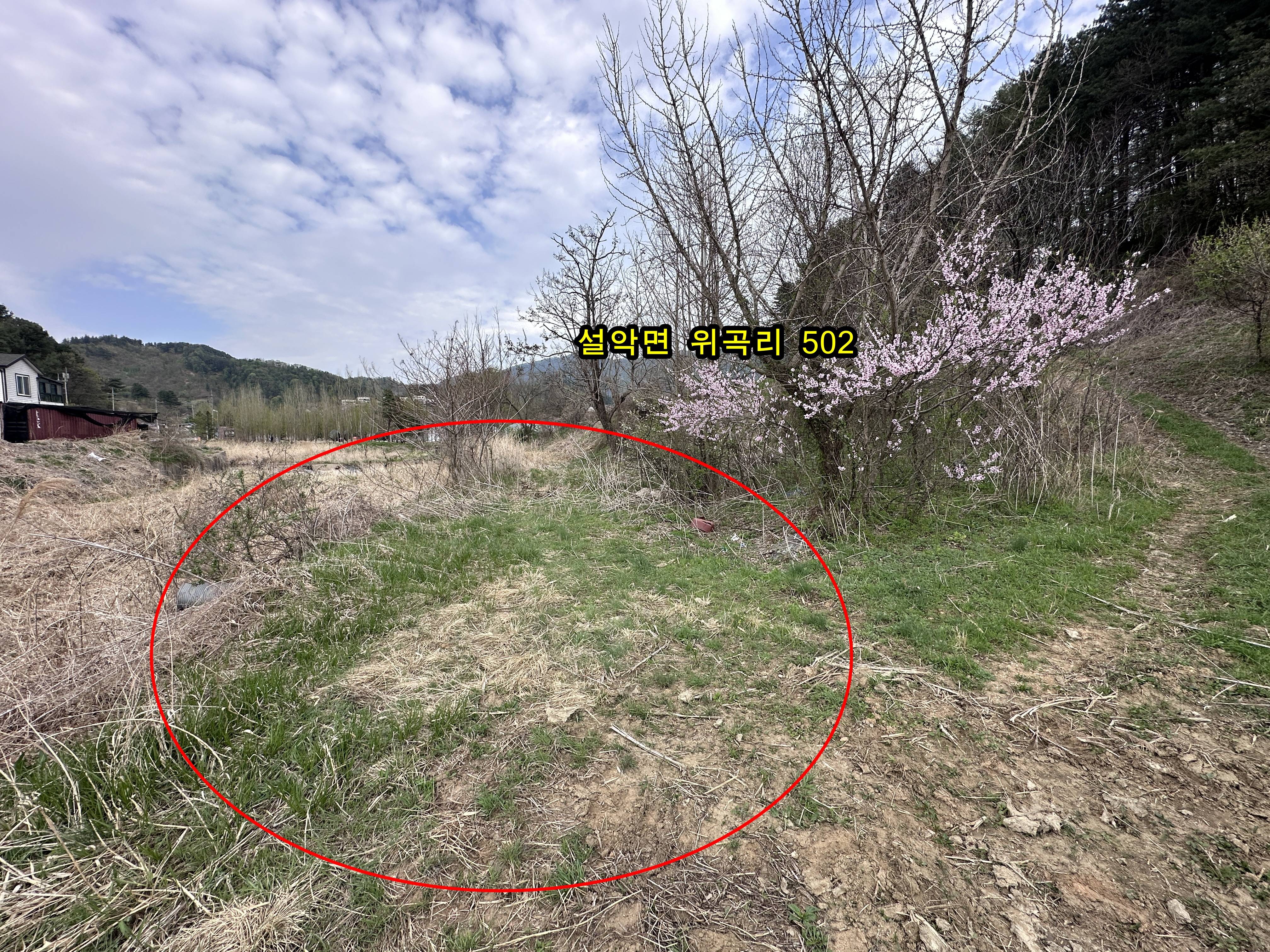 2013060310624