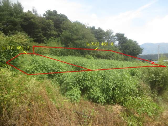 2013061114325 2