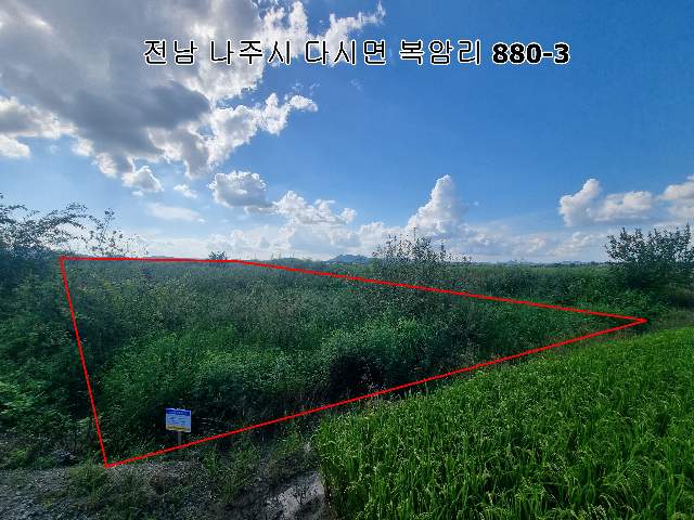 2013061114523