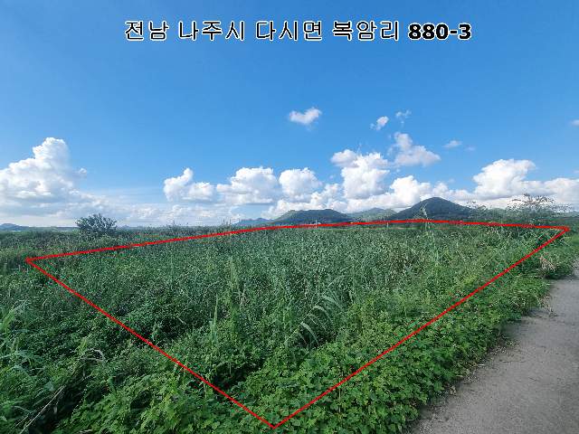 2013061114523