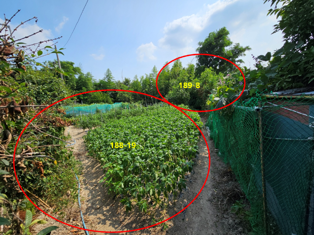 2013061819704