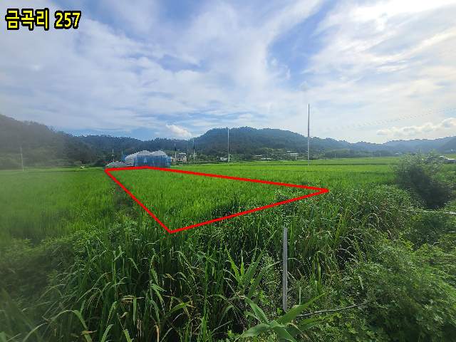 2013072450362